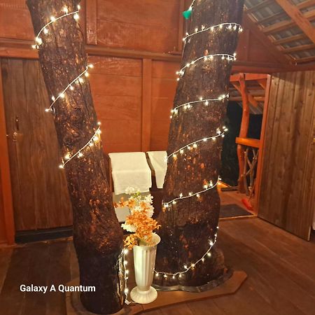 Green Leaf Tree House Dambulla Exterior photo