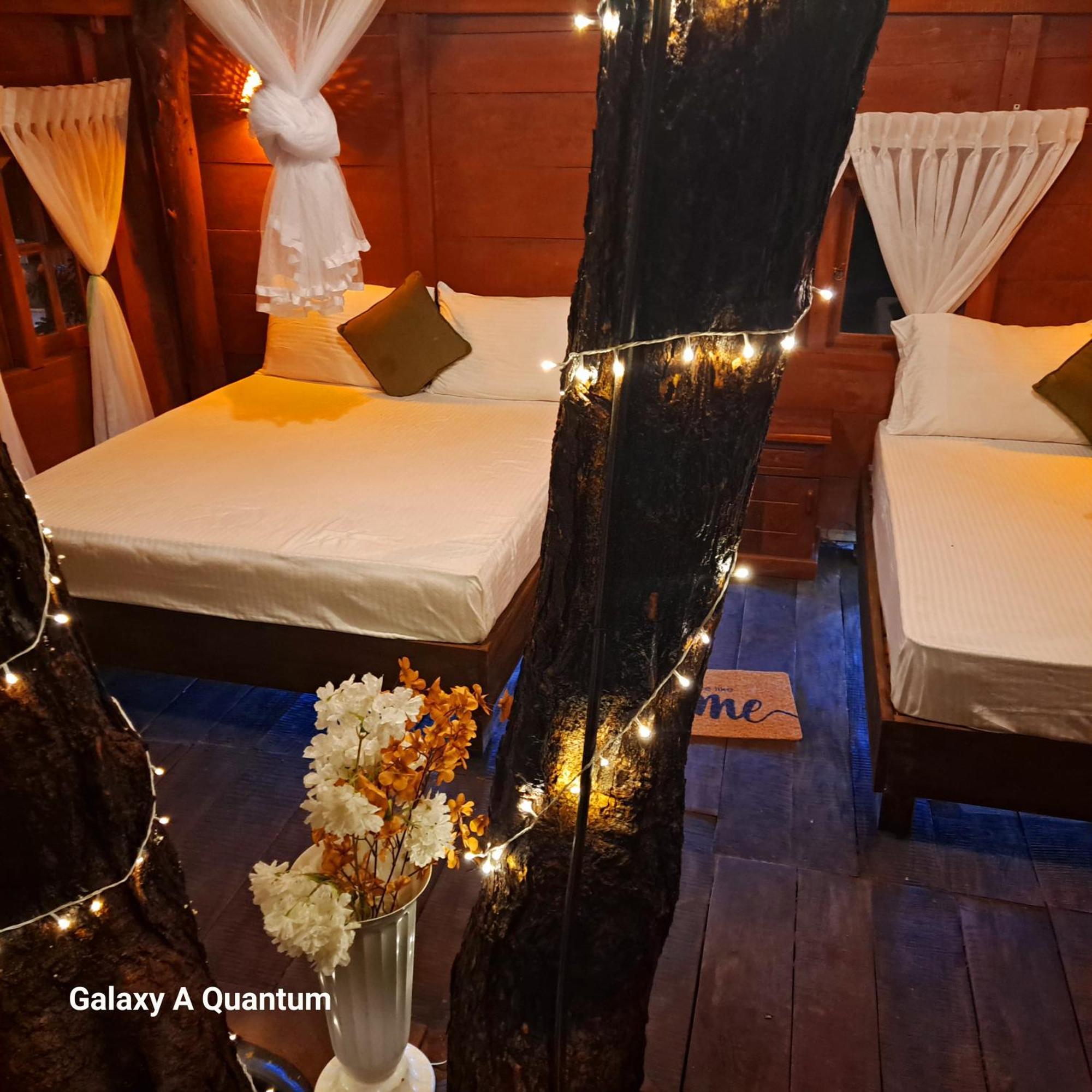 Green Leaf Tree House Dambulla Exterior photo