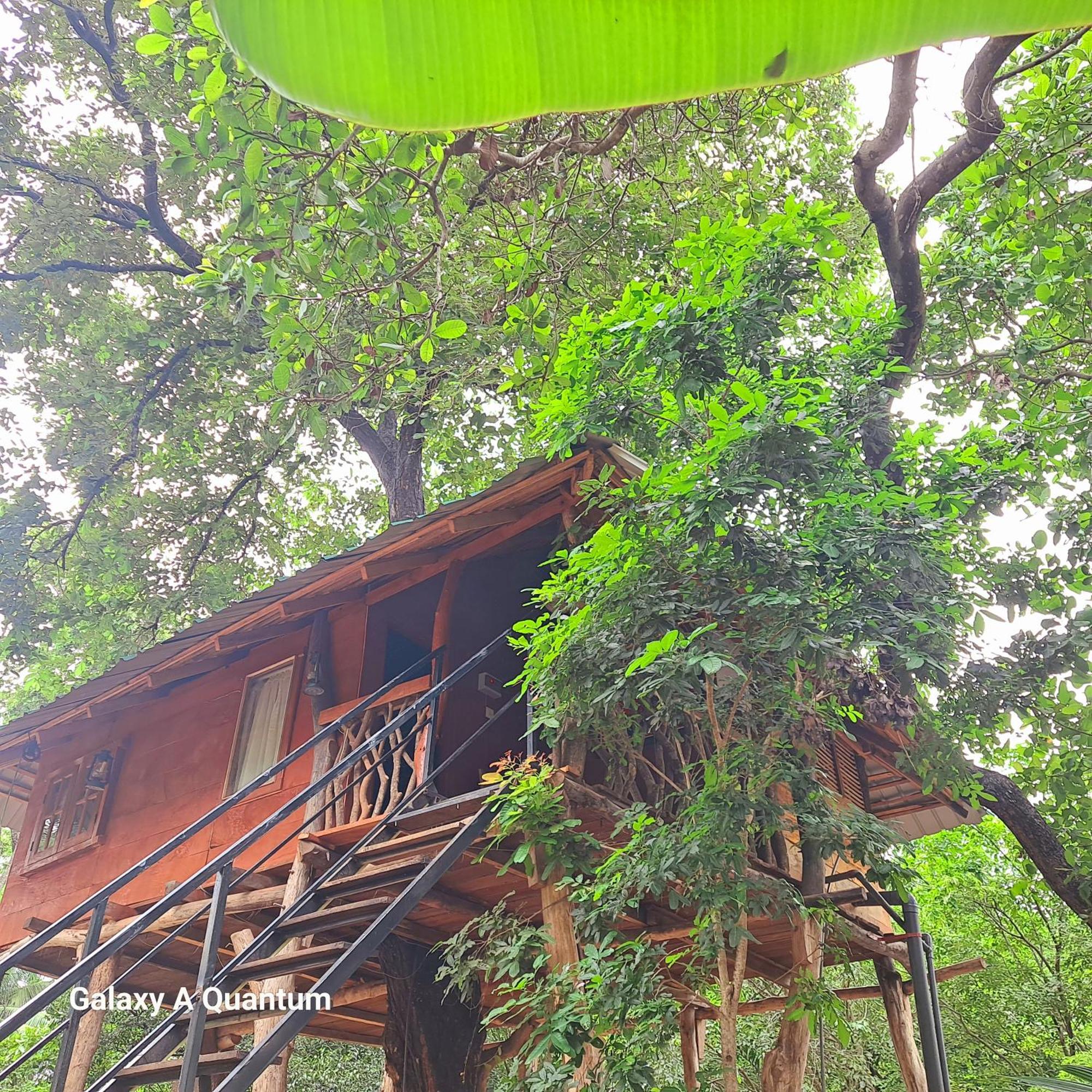 Green Leaf Tree House Dambulla Exterior photo