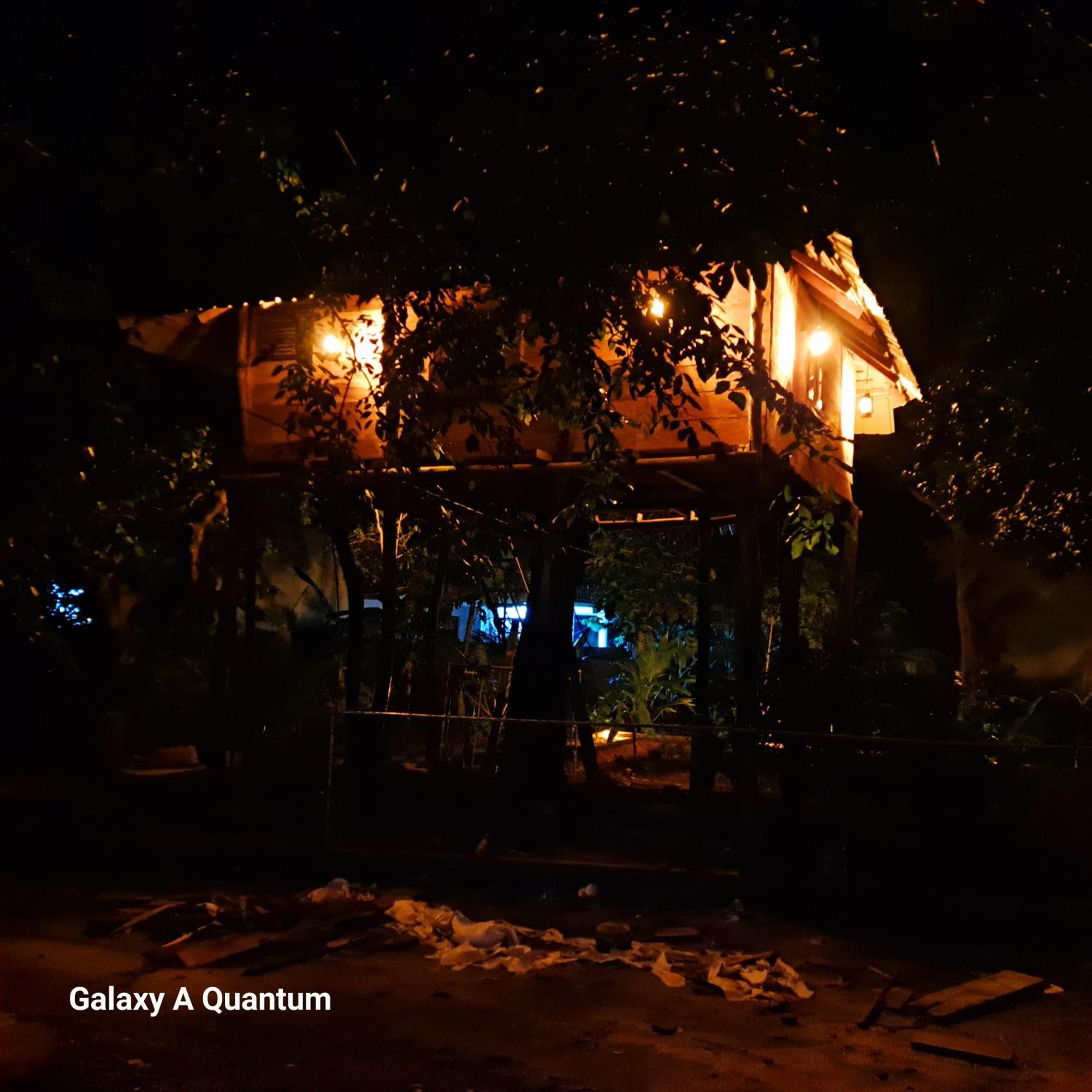 Green Leaf Tree House Dambulla Exterior photo